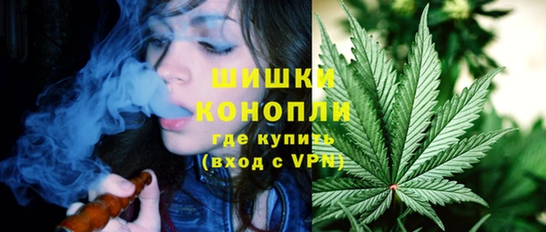 прущие грибы Чекалин