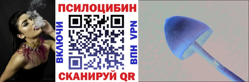 Галлюциногенные грибы Psilocybe  даркнет сайт  Топки 